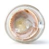 MCT Oil Powder Dr Don Colbert Keto Chocolate-5