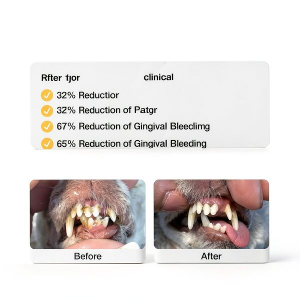 Dog Dental Treat ProDen Plaque-Off Natural Chewy Bones PDDCB1 Medium-4