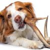Elk Antler Chew by K-9 Antler Co. Natural Dog Chew Whole & Split Sizes-4