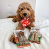 Nylabone Healthy Edibles Venison Chew Treats for Large Dogs 2 Count-1