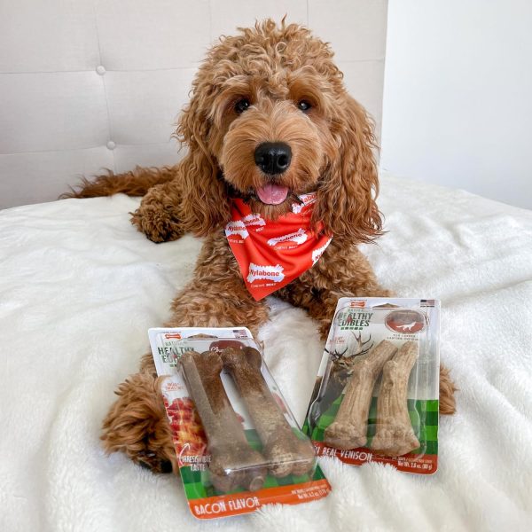 Nylabone Healthy Edibles Venison Chew Treats for Large Dogs 2 Count-1