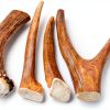 Premium Deer Antler Pieces - Dog Chews - Antlers by The Pound, One Pound - Six Inches or Longer - Medium, Large and XL - Happy Dog Guarantee!-3
