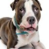 Premium Deer Antler Pieces - Dog Chews - Antlers by The Pound, One Pound - Six Inches or Longer - Medium, Large and XL - Happy Dog Guarantee!-2