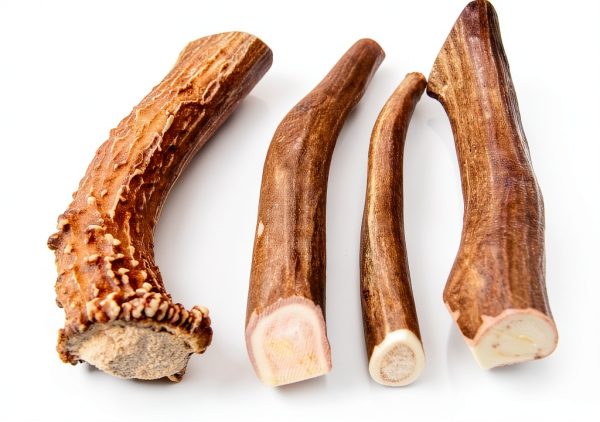 Premium Deer Antler Pieces - Dog Chews - Antlers by The Pound, One Pound - Six Inches or Longer - Medium, Large and XL - Happy Dog Guarantee!-1