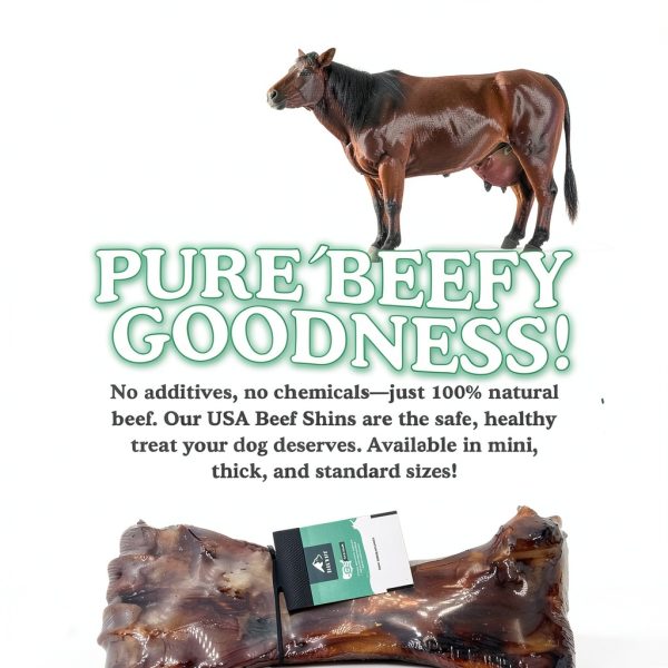 Beef Shin Bone for Large Dogs – BARKN BIG Natural Chew Smoked Beef-3