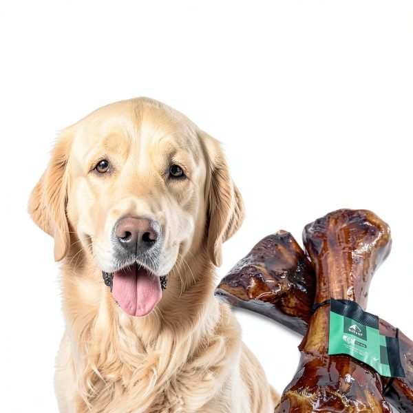 Beef Shin Bone for Large Dogs – BARKN BIG Natural Chew Smoked Beef-2