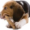 Nylabone Healthy Edibles Venison Chew Treats for Large Dogs 2 Count-9