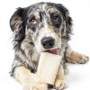 Redbarn Pet Products Small Filled Dog Bones, Peanut Butter Flavor - Long Lasting Stuffed Femur Chew Treat Made in USA - 4 Count - Packaging May Vary-4