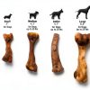 Nylabone Healthy Edibles Broth Bone Natural Dog Chews Long Lasting Treats Ham Flavor Small/Regular - Up to 25 Ibs. (16 Count)-5