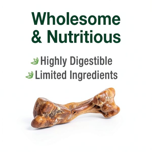 Nylabone Healthy Edibles Broth Bone Natural Dog Chews Long Lasting Treats Ham Flavor Small/Regular - Up to 25 Ibs. (16 Count)-1