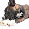 Redbarn Pet Products Small Filled Dog Bones, Peanut Butter Flavor - Long Lasting Stuffed Femur Chew Treat Made in USA - 4 Count - Packaging May Vary-2